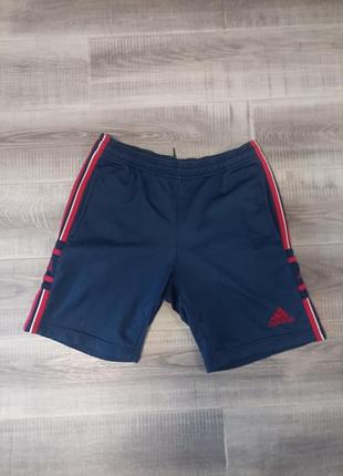 Шорти adidas