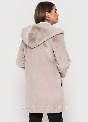 Тедди іспания