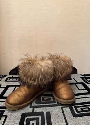 Стильные зимние сапоги с мехом ugg