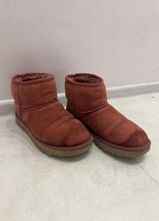Оригінальні ugg