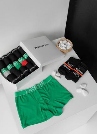 Комплект 5 штук трусів + 12 пар термо шкарпеток в premium box