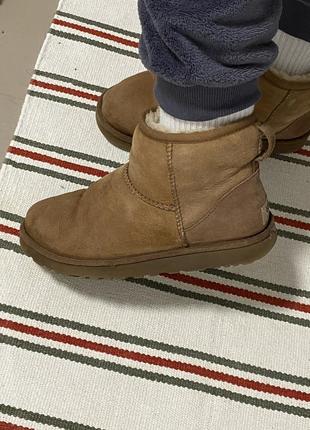 Оригинальные ugg