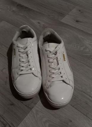 Puma