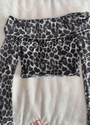 Топ леопард
