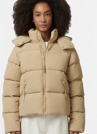 Пуховик advance lacoste