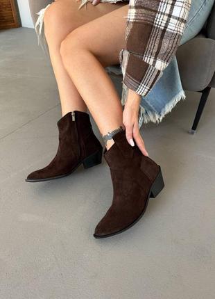 Замшевые казаки шоколад