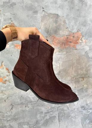 Замшевые казаки шоколад