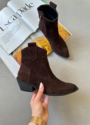 Замшевые казаки шоколад