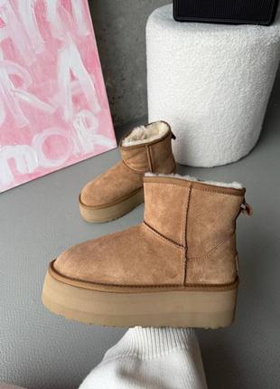Угги уггі угг Тапочки ugg tazz 2022 chestnut