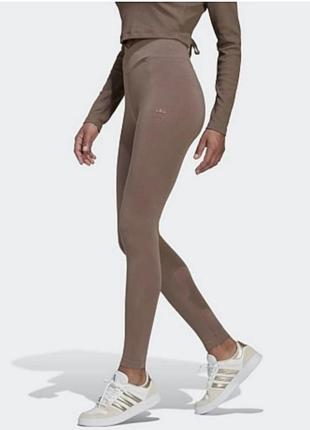 Лосины adidas
