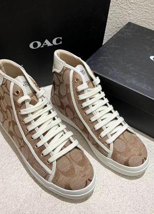 Кеди coach