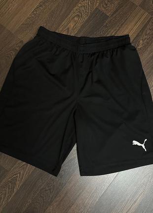 Шорты puma