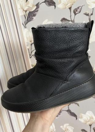 Сапоги женские зимние