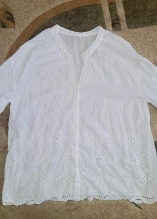 Котонова блуза прошва батал