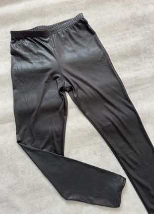 Лосини жіночі