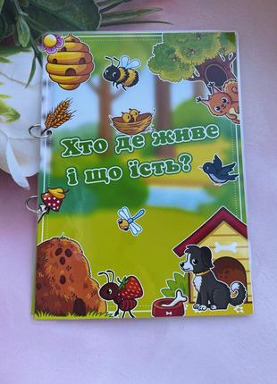 Хто де живе і хто що їсть на липучках