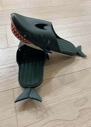 Тапки акулы рыбы