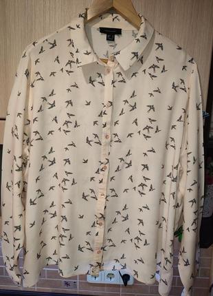 Рубашка, блуза р. 2xl-3xl