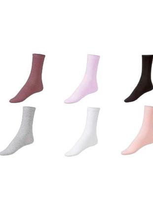 Комплект из 6ти пар носков esmara