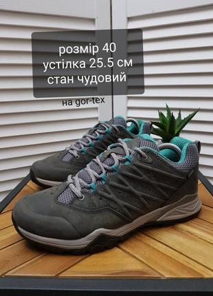 Треккинговые кроссовки the north face