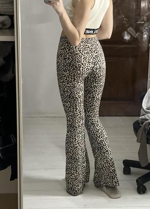 Штани леопардові