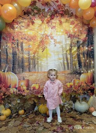 Плаття, сукня, рожева сукня для дівчинки