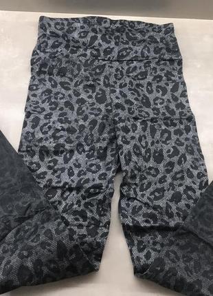 Лосины легенсы