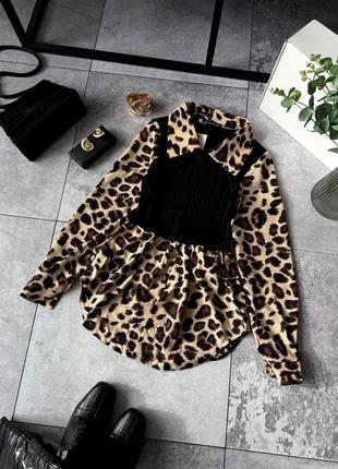 Рубашка лео 247 уб