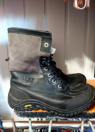 Зимние ботинки ugg