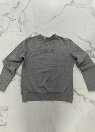 Сірий чоловічий світшот