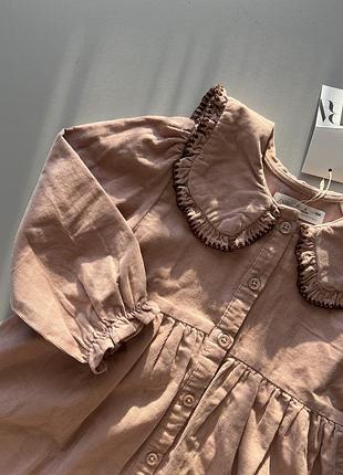 Вельветова сукня zara з комірцем плаття в рубчик