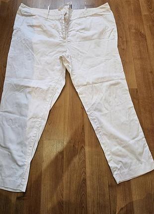 Білі котонові брюки великого розміру