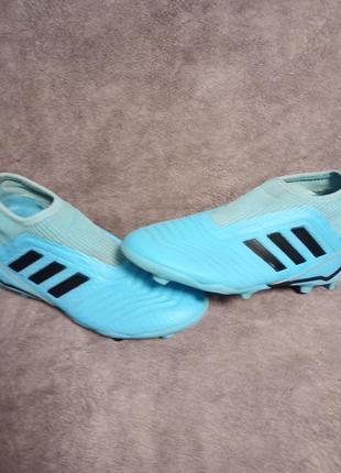 Бутси adidas predator