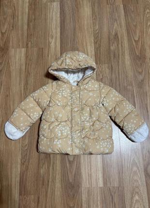 Куртка, курточка