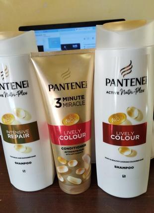 Шампуні pantene