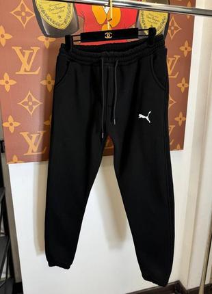 Спортивные штаны puma