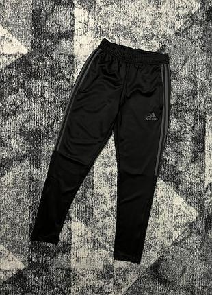 Спортивні штани adidas