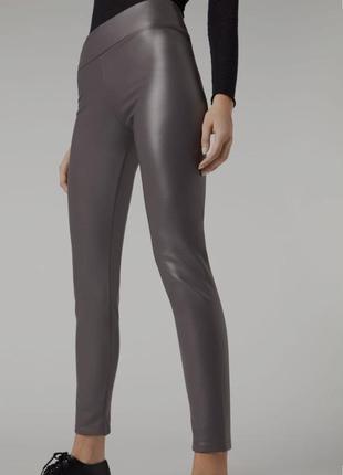 Лосіни, легінси calzedonia