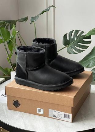 Угги уггі угг ugg classic black leather