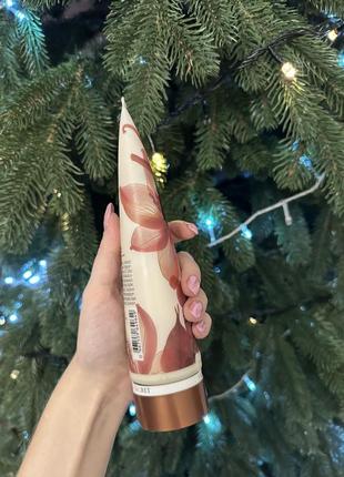 Лосьйон для тіла victoria's secret vanilla bean & macadamia 236 мл4 фото