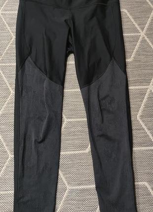Спортивні лосіни under armour