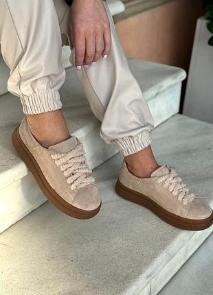 Кеди