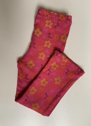 Лосини, легінси - кльош