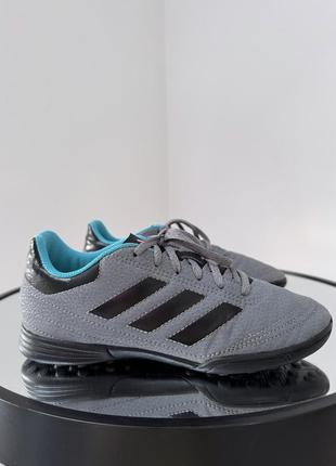 Потужні якісні сороконіжки adidas goletto