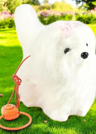 Интерактивная собака tk union group "пухнастик" ходит на поводку создает звуки