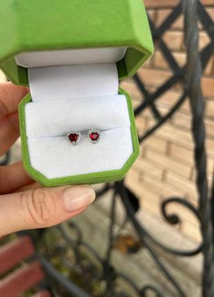 Серебряные серьги в стиле пандора 925