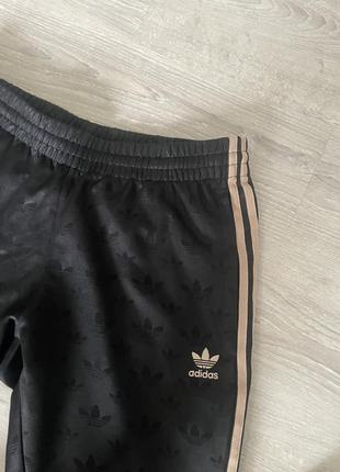 Спортивные штаны adidas монограммные