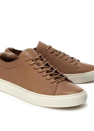 Мужские кроссовки lacoste без подкладки