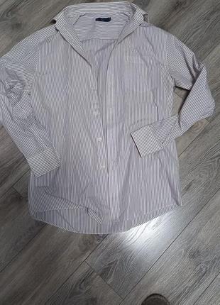 Сорочки чоловічі