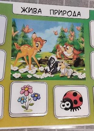 Распродажа 6